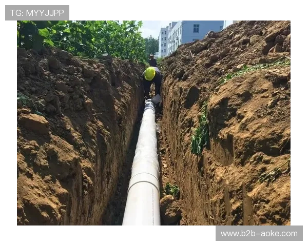 伯纳乌球场翻新工程全面完工,高科技设施提升观赛体验 伯纳乌球场翻新工程全面完工,高科技设施提升观赛体验